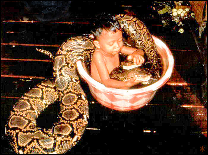 Baby - Kid washes the snake