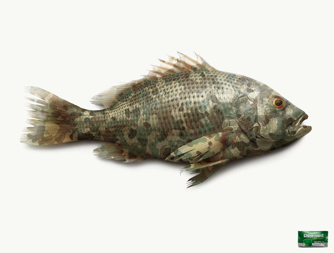 chlormintfish